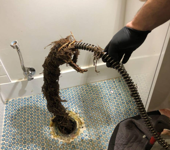 blocked drain