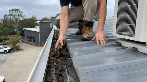 Tradesman clearing leaf litter from a commercial box gutter on a Colorbond roof on the Gold Coast.